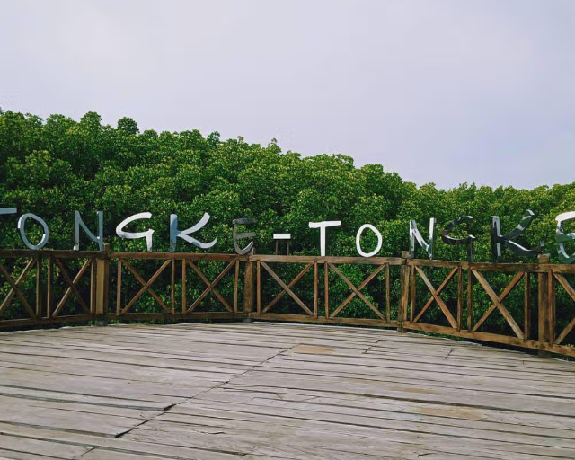 Pesona Hutan Magrove Tongke - Tongke