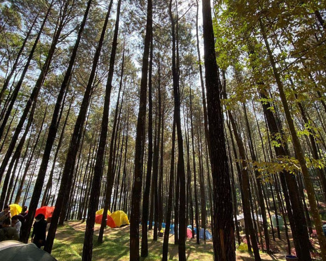 Tempat Wisata Malino Yang Wajib Di Kunjungi