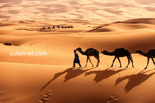 Menjelajahi Gurun Sahara Afrika
