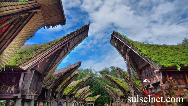 Rekomendasi Wisata Budaya Terpopuler di Sulawesi 2025